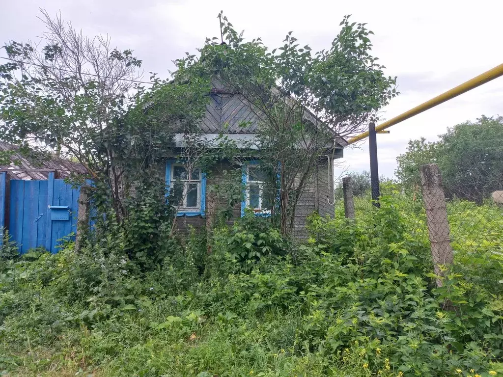 Дом в Татарстан, Зеленодольский район, Нижние Вязовые муниципальное ... - Фото 1