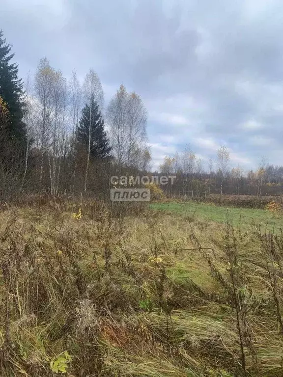 Участок в Московская область, Можайский муниципальный округ, ... - Фото 2