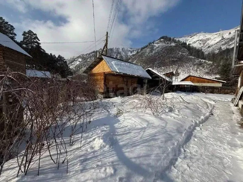 Участок в Алтай, Майминский район, с. Манжерок пер. Дружбы (21.0 сот.) - Фото 2