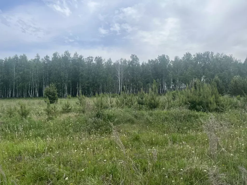 Участок в Свердловская область, Белоярский муниципальный округ, ... - Фото 2