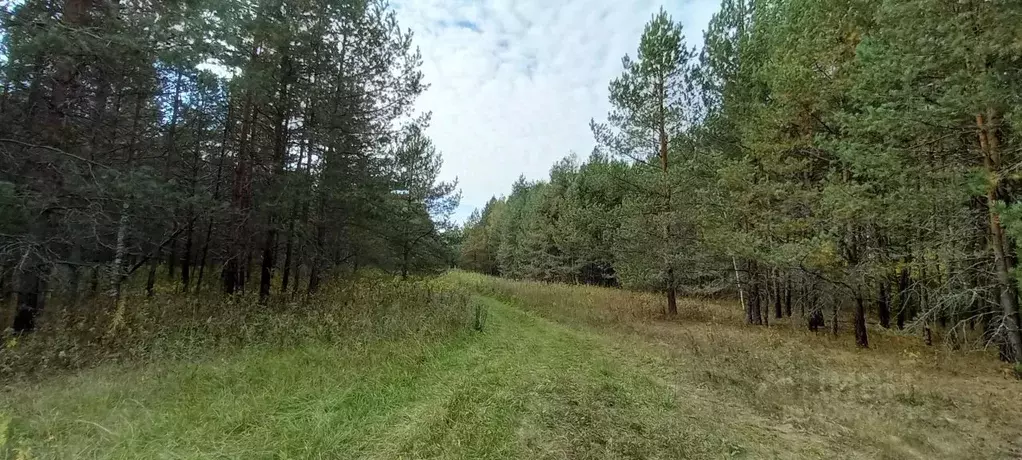 Участок в Владимирская область, Киржачский район, Горкинское ... - Фото 0