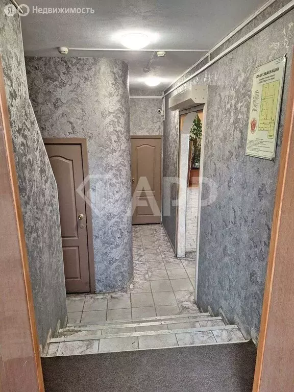 Помещение свободного назначения (31 м) - Фото 0