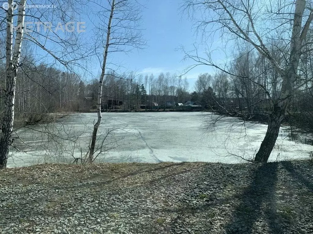 Участок в Новосибирск, СНТ Кедр (4.2 м) - Фото 1