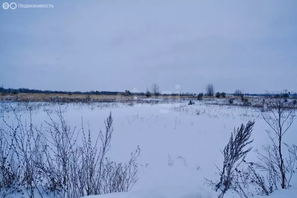 Участок в Казань, 1-я Вознесенская улица (8.53 м) - Фото 2