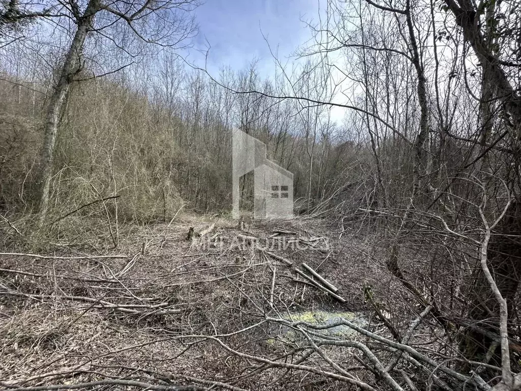 Участок в Краснодарский край, Геленджик городской округ, с. Адербиевка ... - Фото 2