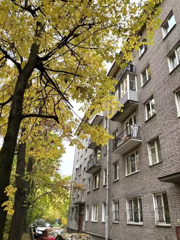 2-к кв. Санкт-Петербург ул. Васи Алексеева, 24 (44.7 м) - Фото 1