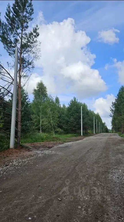 Участок в Татарстан, Зеленодольский район, Большеключинское с/пос, с. ... - Фото 2