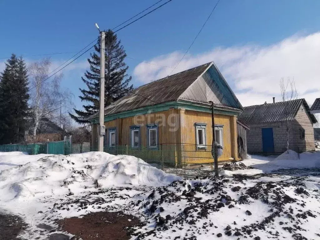 Дом в Башкортостан, с. Кармаскалы ул. Партизанская, 42 (39 м) - Фото 0