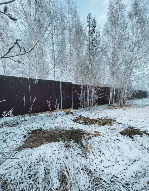 Участок в Нижегородская область, Богородский муниципальный округ, д. ... - Фото 1