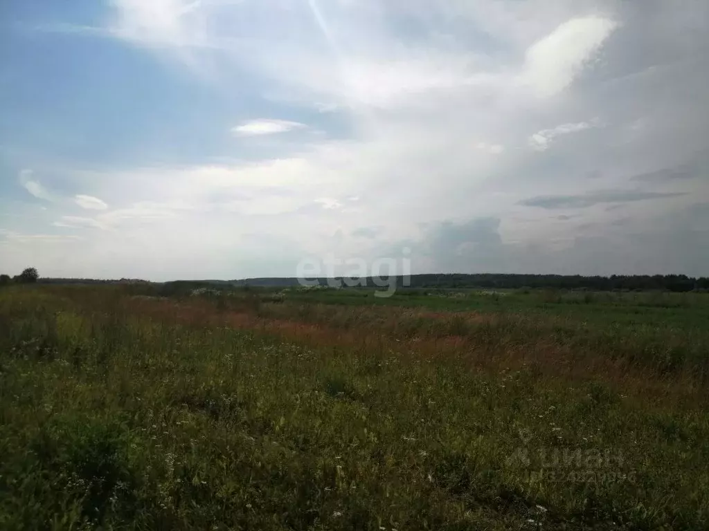 Участок в Владимирская область, Меленковский муниципальный округ, с. ... - Фото 1