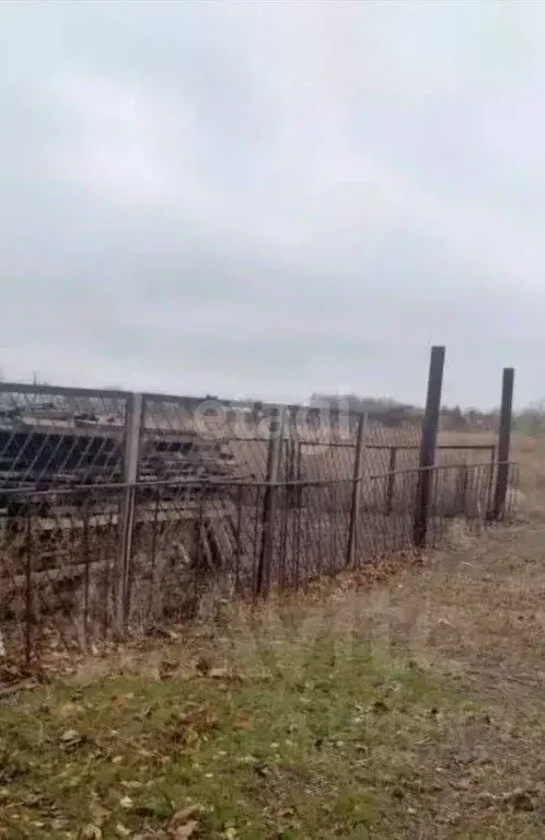 Участок в Волгоградская область, Среднеахтубинский район, Кировское ... - Фото 1