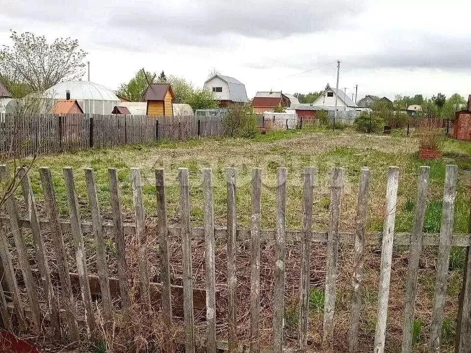 Участок в Новосибирская область, Новосибирский район, Толмачевский ... - Фото 1