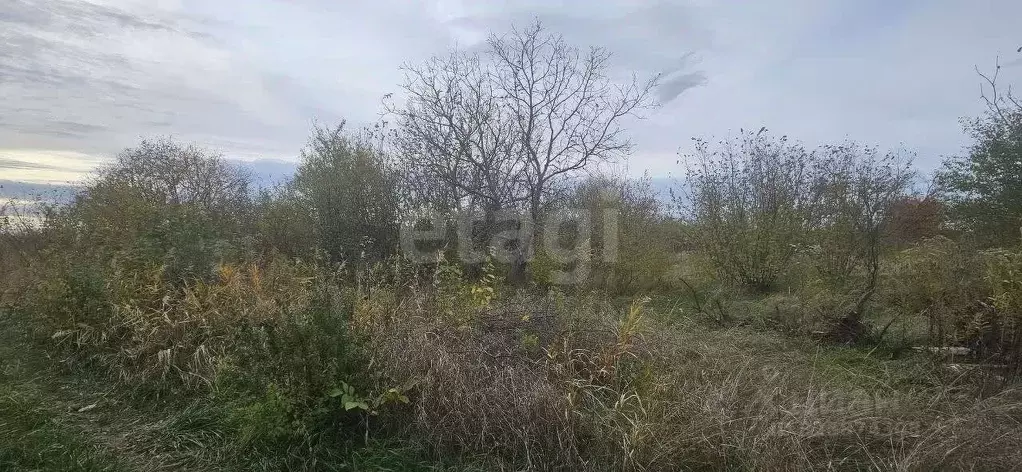 Участок в Краснодарский край, Белореченск Ветерок СОТ,  (9.01 сот.) - Фото 0