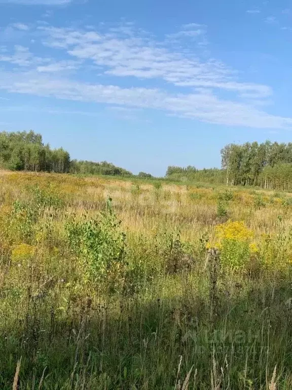 Участок в Нижегородская область, Кстовский муниципальный округ, с. ... - Фото 1