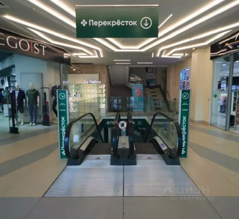 Помещение свободного назначения в Москва просп. Мира, 33к1 (1323 м) - Фото 1