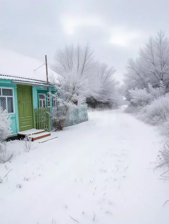 Дом в Тульская область, Тула городской округ, с. Медведки 19 (51 м) - Фото 1