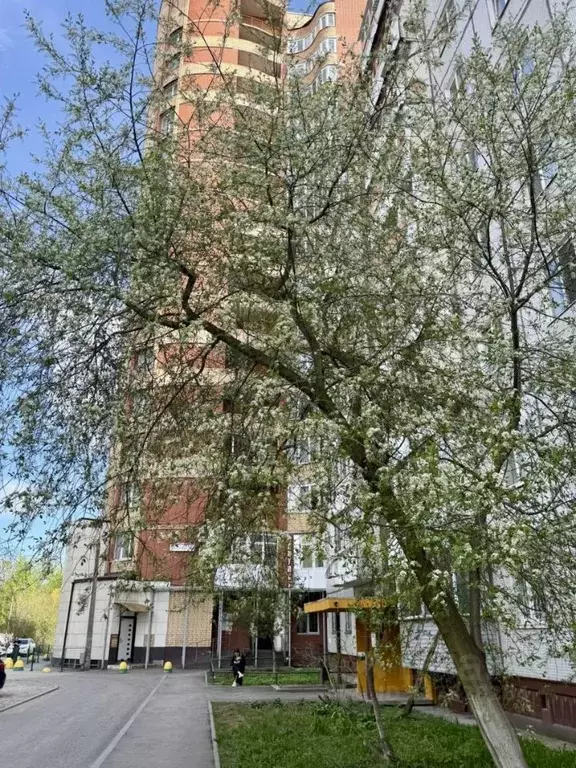 1-к кв. Пермский край, Пермь ул. Василия Каменского, 10а (42.6 м) - Фото 1
