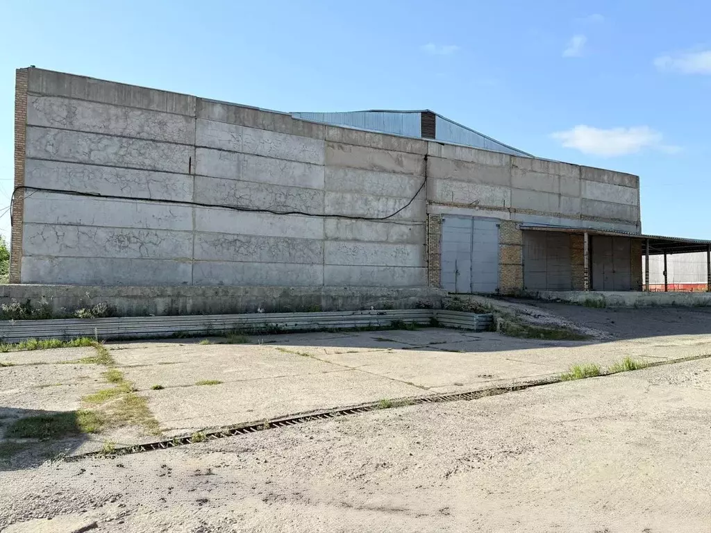 Склад в Пензенская область, Пенза ул. Чаадаева, 64Б (3000 м) - Фото 1