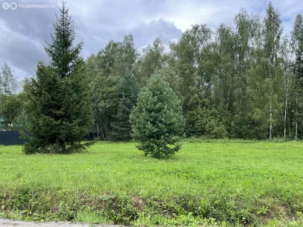 Участок в Московская область, городской округ Ступино, СНТ Лесные ... - Фото 1