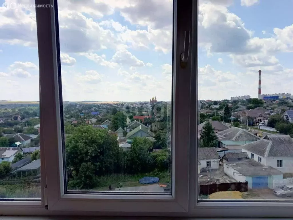 1-комнатная квартира: Губкин, Осколецкая улица, 21А (30.9 м) - Фото 1