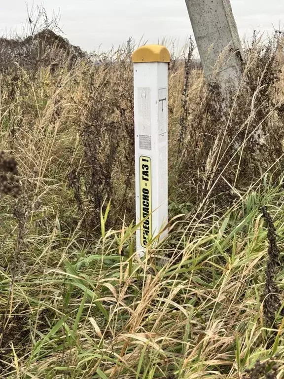 Участок в Московская область, Раменский муниципальный округ, д. ... - Фото 1