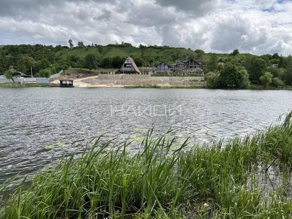 Участок в Рязанская область, Пронск рп ул. Нижне-Архангельская (19.0 ... - Фото 1