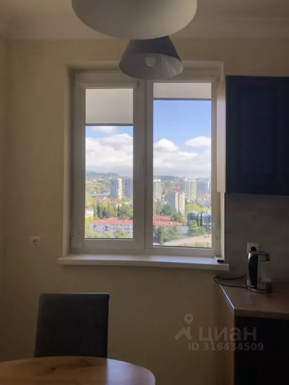 1-к кв. Краснодарский край, Сочи Виноградная ул., 2/3В (50.0 м) - Фото 1