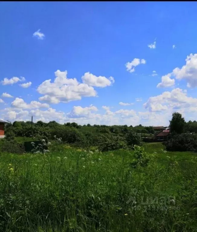Участок в Нижегородская область, Богородский муниципальный округ, д. ... - Фото 1