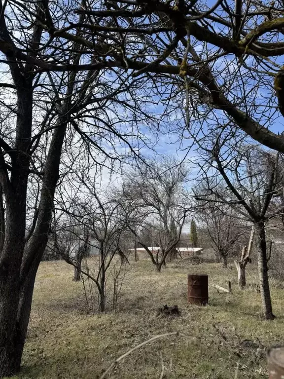 Участок в Ростовская область, Новочеркасск Малинка СТ, 150 (6.28 сот.) - Фото 0