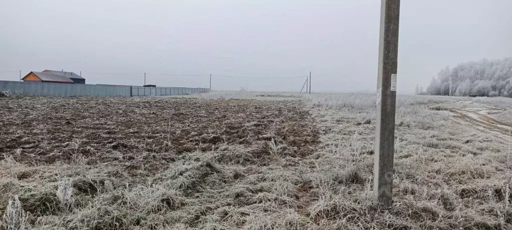 Участок в Марий Эл, Медведевский район, Азяковское с/пос, д. Шеклянур ... - Фото 2