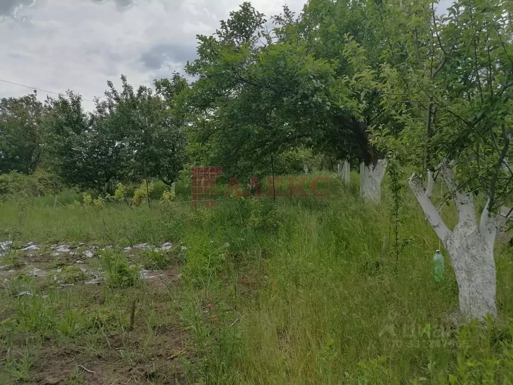 Участок в Ростовская область, Азовский район, Новоалександровское ... - Фото 2