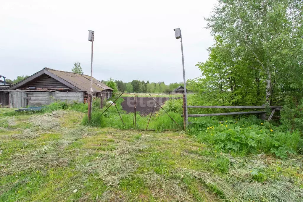 Участок в село Преображенка, Кедровая улица (20 м) - Фото 1