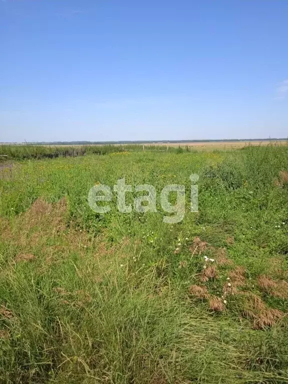 Купить Земельный Участок В Поселках Кузнецкого Района