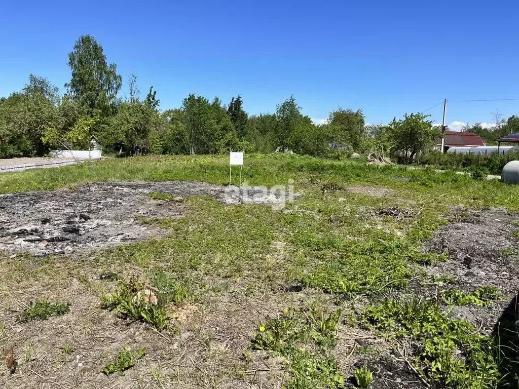 Участок в Санкт-Петербург, Санкт-Петербург, Павловск Славяночка СНТ, ... - Фото 0