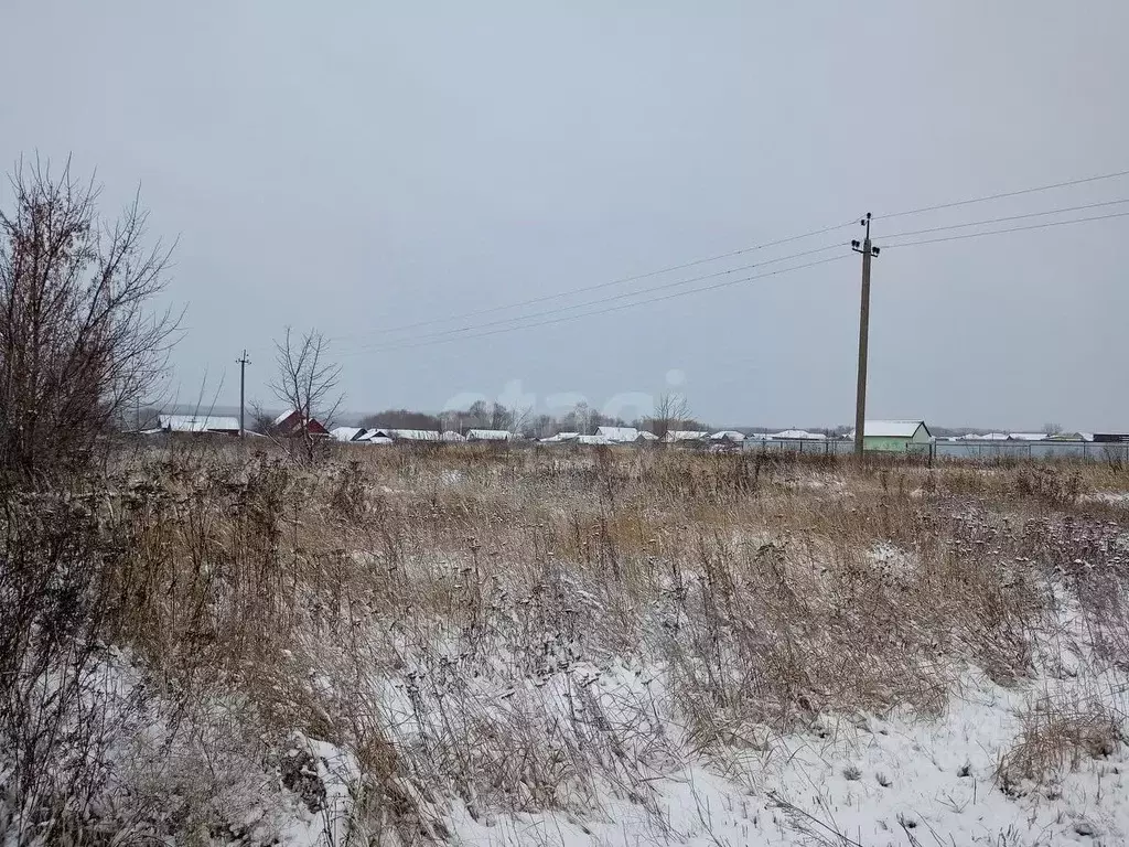 Участок в Саратовская область, Балашовский район, с. Репное  (20.0 ... - Фото 2