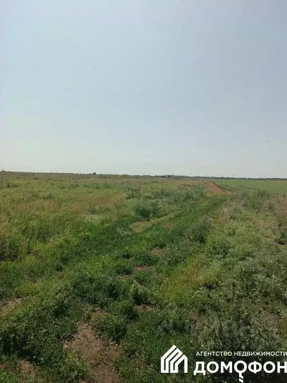 Участок в Омская область, Омский район, с. Дружино  (11.0 сот.) - Фото 1
