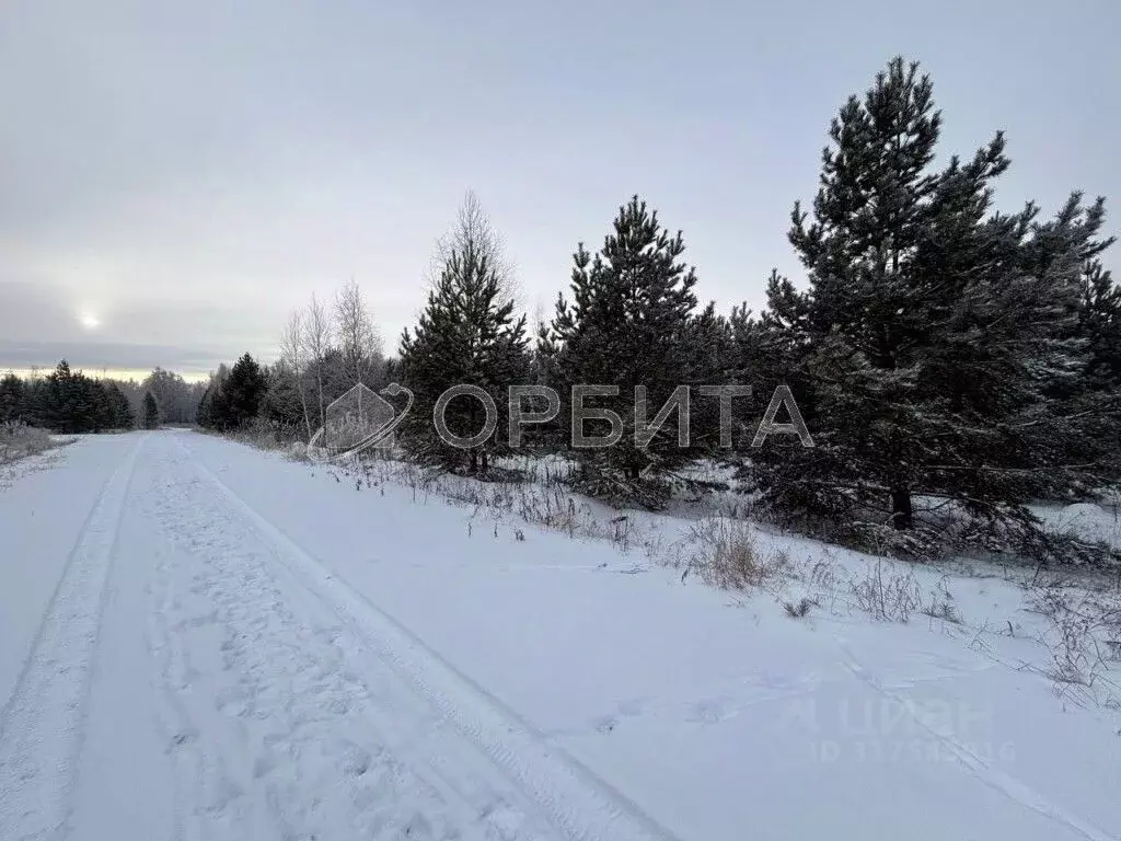 Участок в Тюменская область, Тюменский район, Онегин кп  (16.0 сот.) - Фото 0