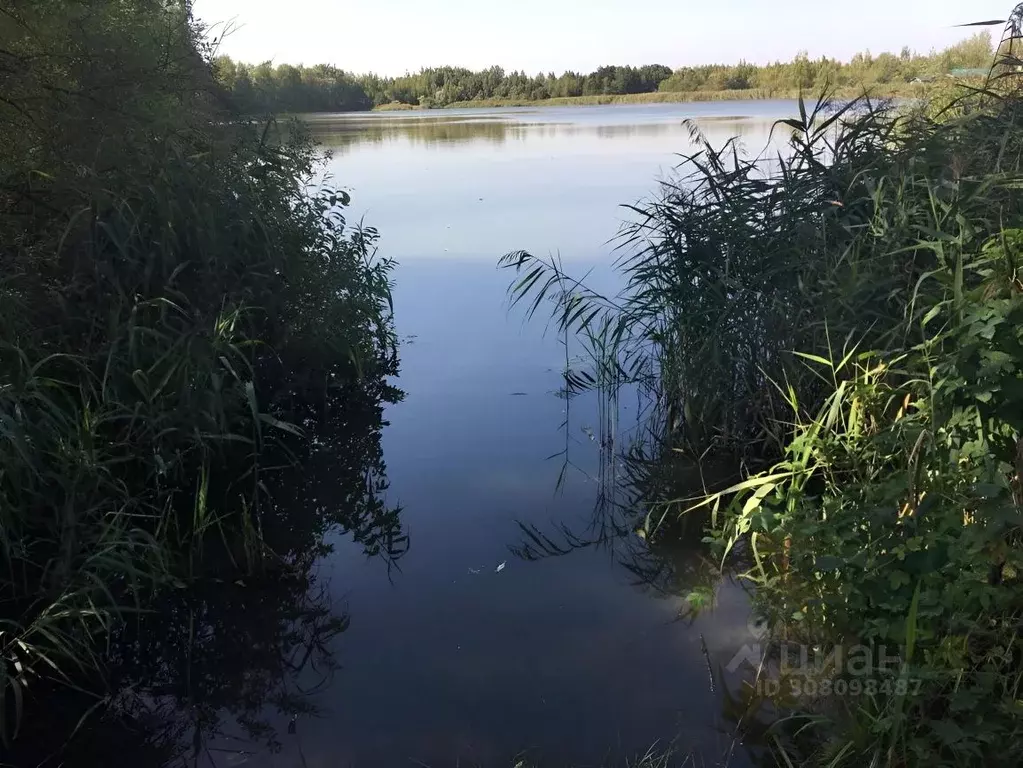 Участок в Московская область, Богородский городской округ, Светлячок ... - Фото 1