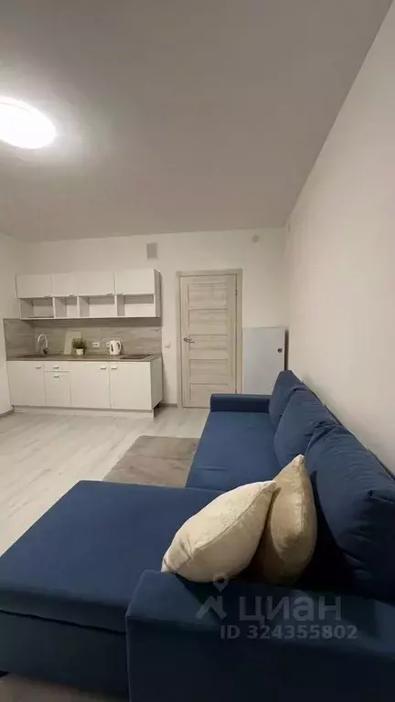 Студия Санкт-Петербург просп. Буденного, 19к1 (25.0 м) - Фото 2