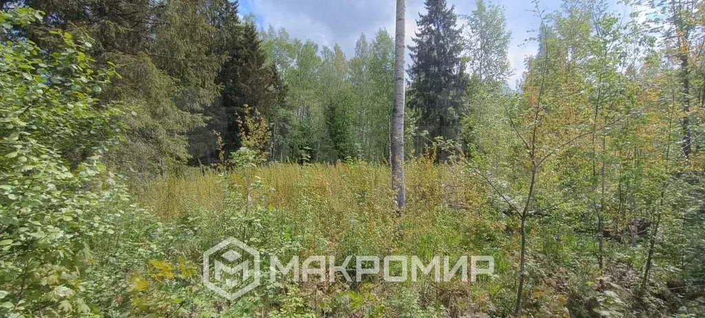 Участок 12 сот. (СНТ, ДНП) - Фото 0
