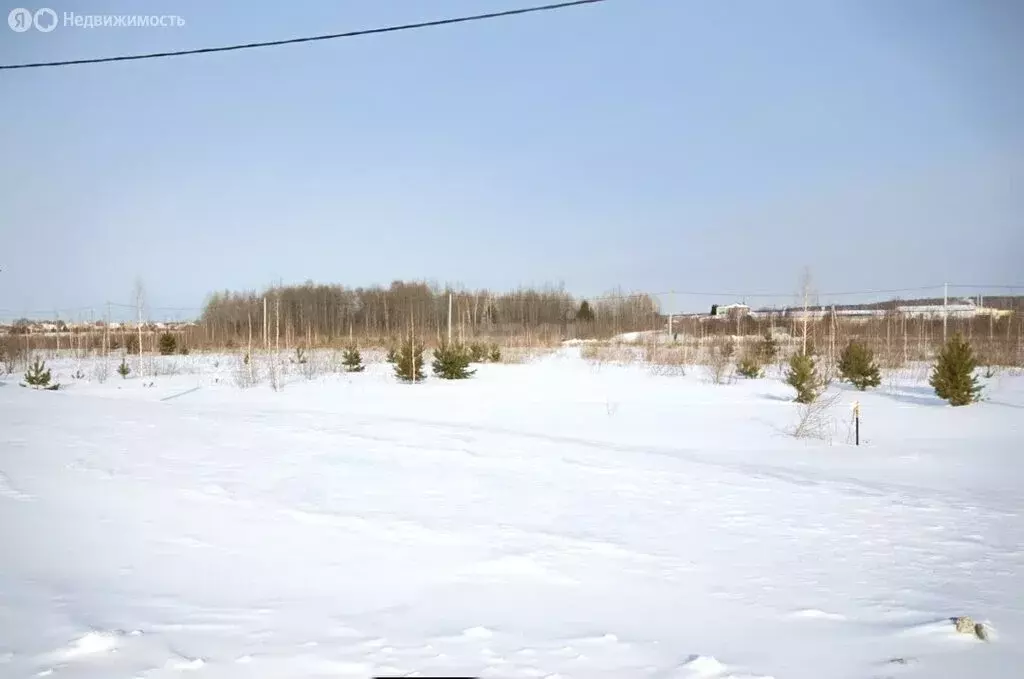 Участок в Заводоуковск, улица Юрия Гуляева (9 м) - Фото 2