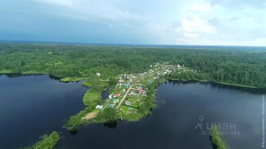 Участок в Новгородская область, Окуловский район, Турбинное с/пос, д. ... - Фото 1