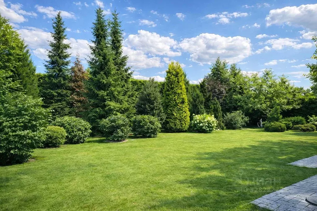 Участок, 45 сот., поселения (ижс) - Фото 1