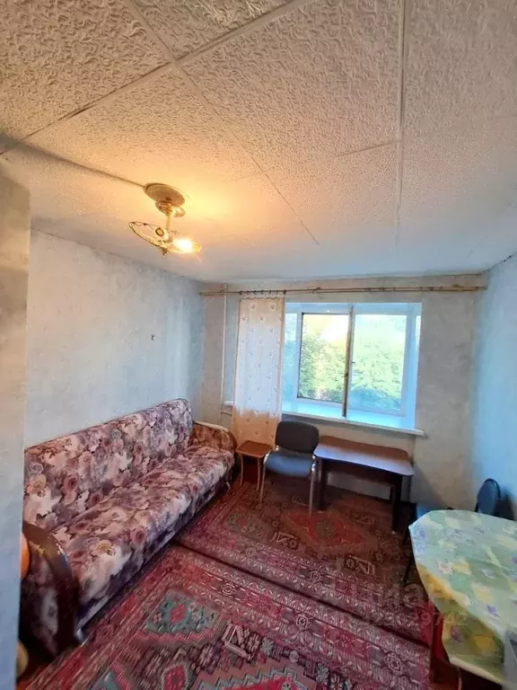 Студия Алтайский край, Барнаул ул. Эмилии Алексеевой, 60 (14.0 м) - Фото 1