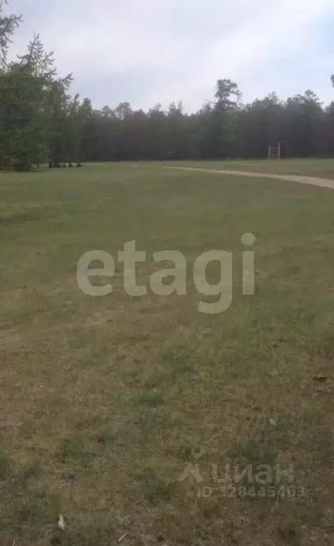 Участок в Иркутская область, Ольхонский район, Хужирское муниципальное ... - Фото 2