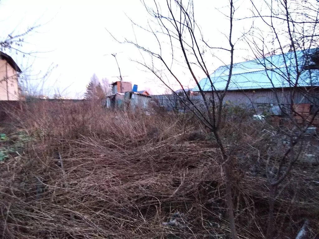 Дом в Пушкино, Луговая улица, 12А (38.3 м) - Фото 2