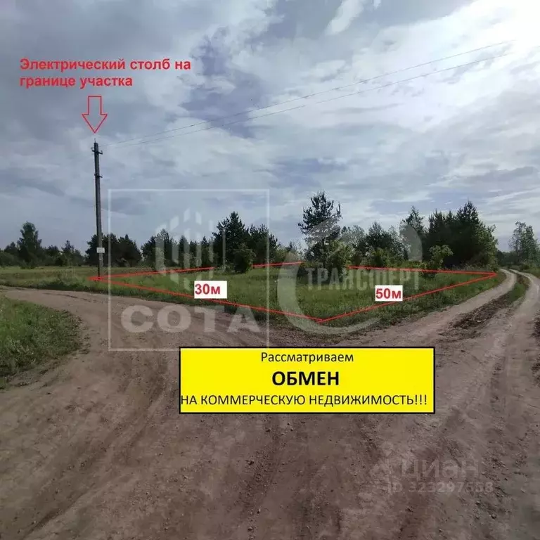 Участок в Воронежская область, Рамонский район, Новоживотинновское ... - Фото 1