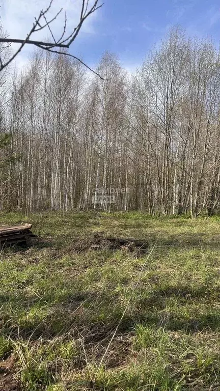 Участок 15 сот. (личное подсобное хозяйство (лпх)) - Фото 1
