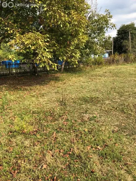 Участок в Абадзехская, Советская улица, 9 (40.84 м) - Фото 2