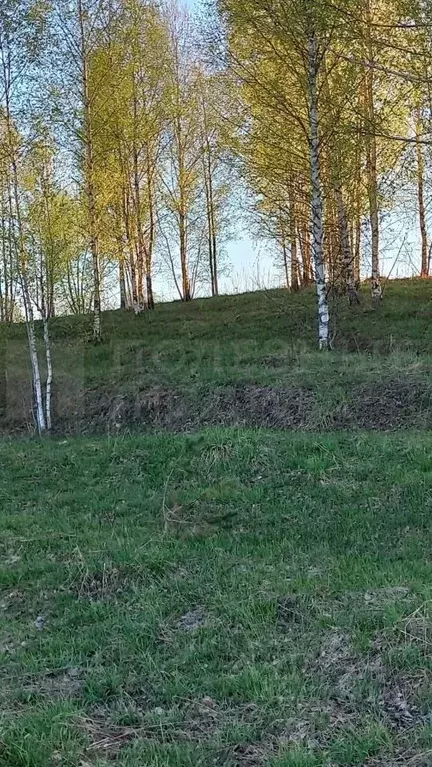 Участок в Новгородская область, Валдайский район, Короцкое с/пос, д. ... - Фото 1